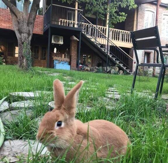 پانسیون Guest House Chiko