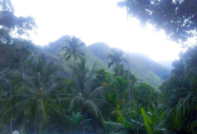 צימר The Winsome & Tree House