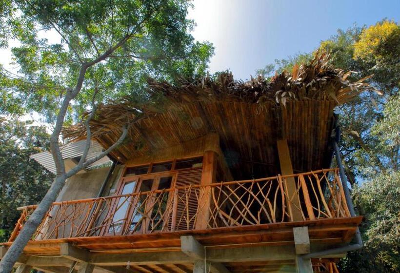 צימר The Winsome & Tree House