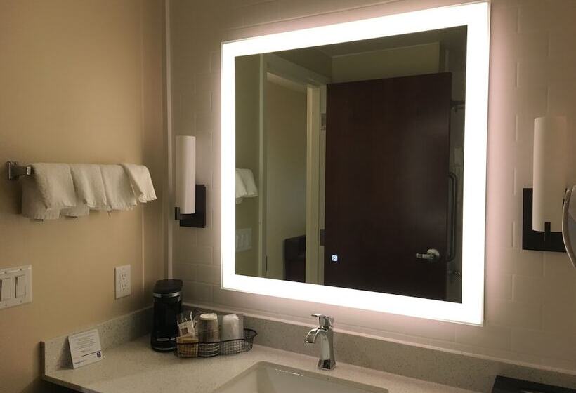 酒店 Comfort Inn & Suites Zion Park Area