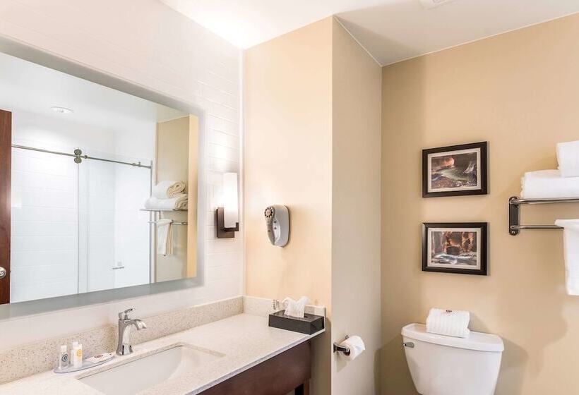 ホテル Comfort Inn & Suites Zion Park Area