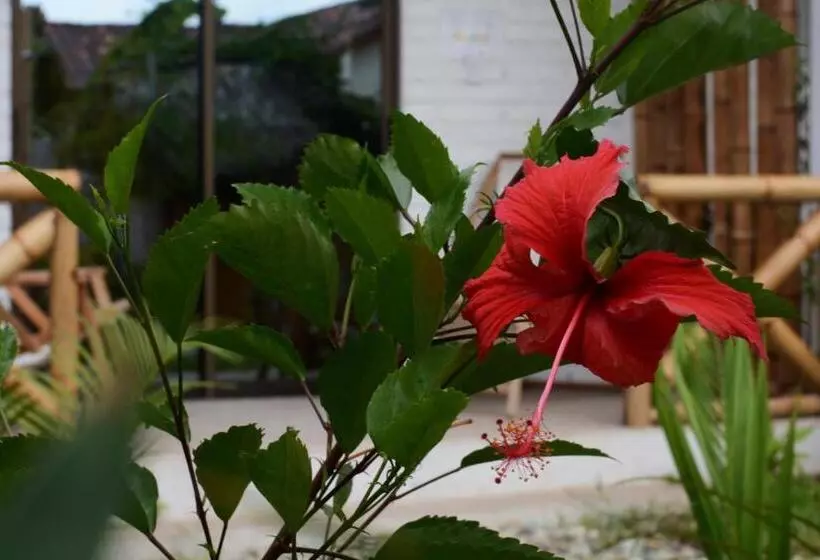 Majatalo Casita Madame