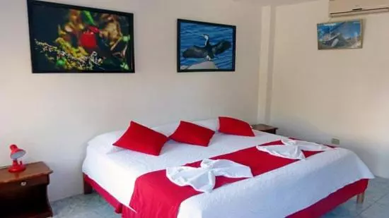 ユースホステル Hostal Sandrita