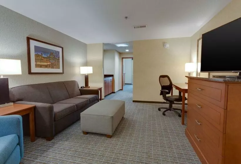 ホテル Drury Inn & Suites Gainesville