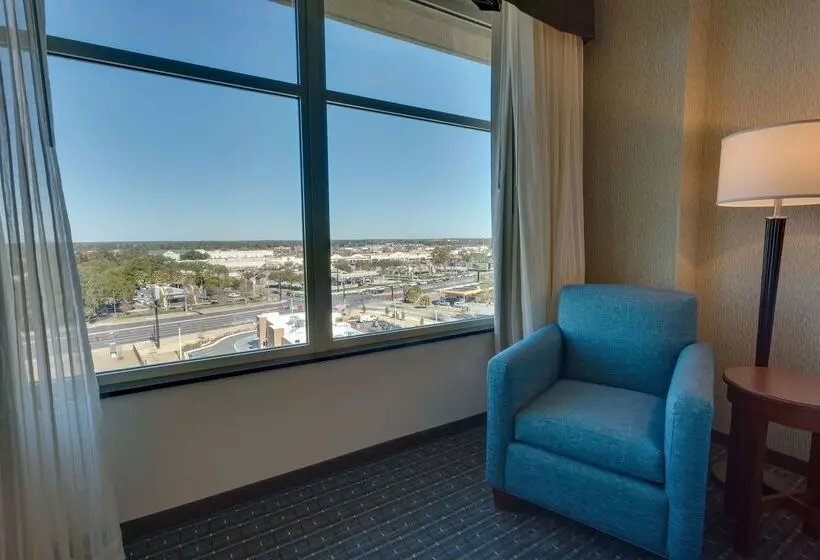 ホテル Drury Inn & Suites Gainesville