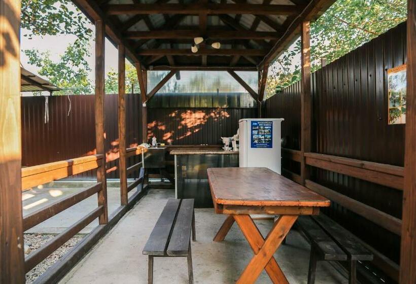 پانسیون Guest House Alamys