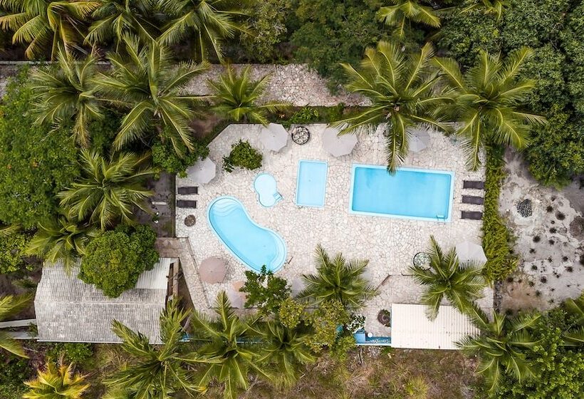 هاستل Pousada Ponta De Mangue