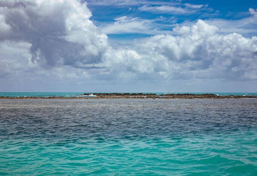 هاستل Pousada Ponta De Mangue