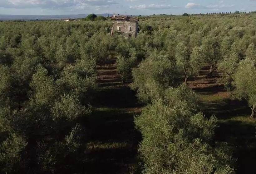 ホテル Agriturismo I Due Casali