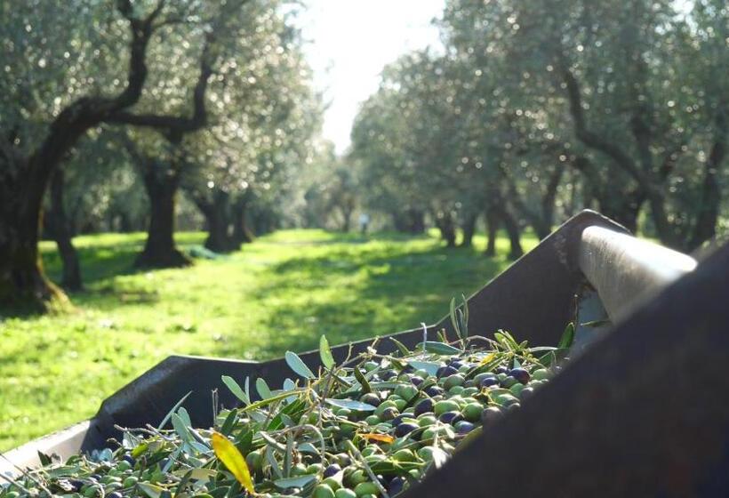 Отель Agriturismo I Due Casali