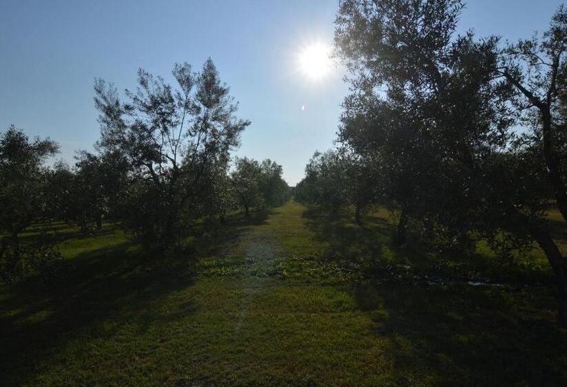 Отель Agriturismo I Due Casali