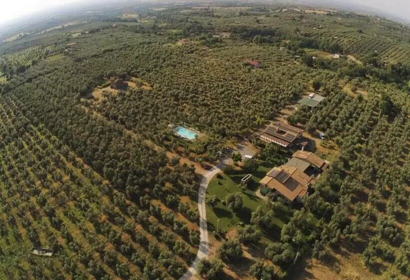 ホテル Agriturismo I Due Casali