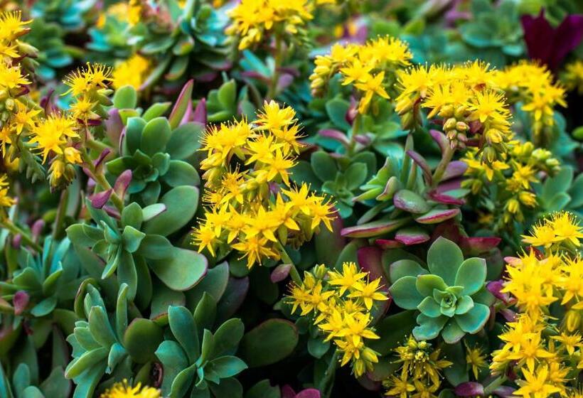 펜션 Affittacamere Agata