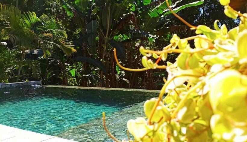 پانسیون Haleiwa Chalés E Suítes A Guest House Do Prumirim