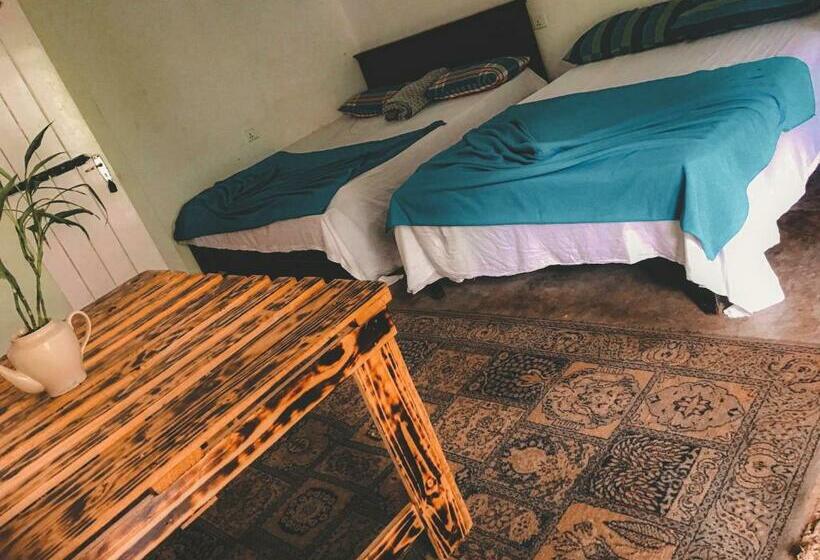 Pensione Niwasa House