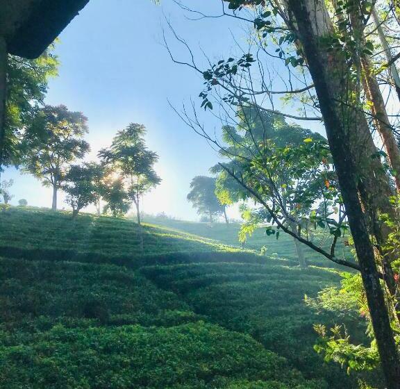 Pensione Niwasa House