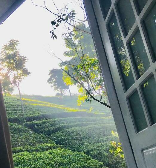 Pensione Niwasa House