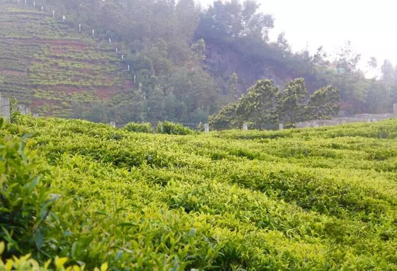 ペンション The Xanadu, Coonoor