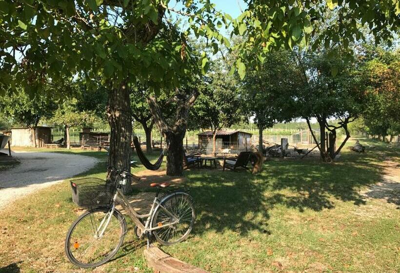 בית מלון כפרי Agriturismo La Montina