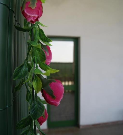 酒店 Agriturismo La Valbona