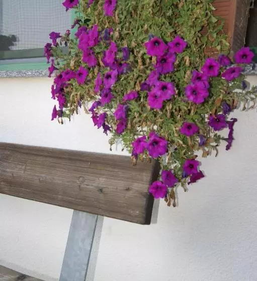 ホテル Agriturismo La Valbona