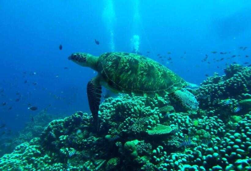 펜션 Blue Marine Resort