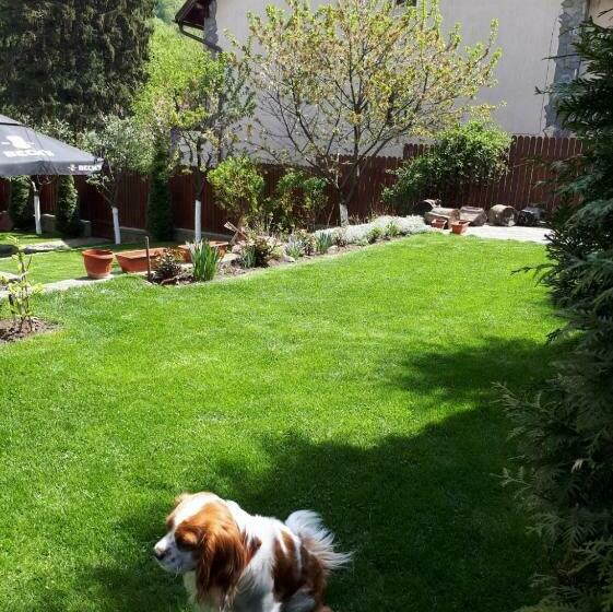 Пансион Casa Ador