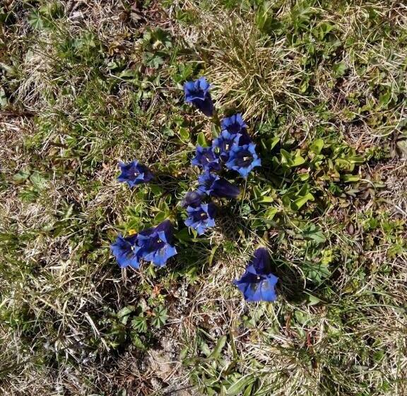 Пансион Haus Fürhapter Markus