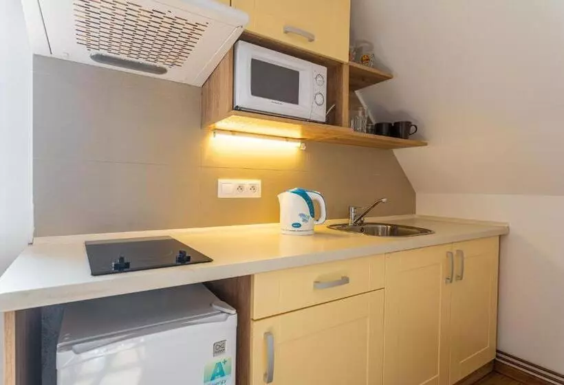 ペンション Houda Bouda   Penzion & Apartmány