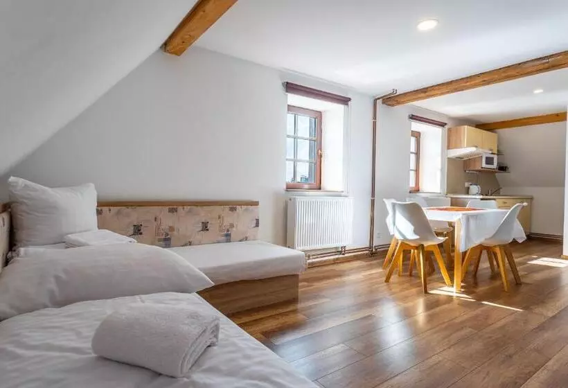ペンション Houda Bouda   Penzion & Apartmány