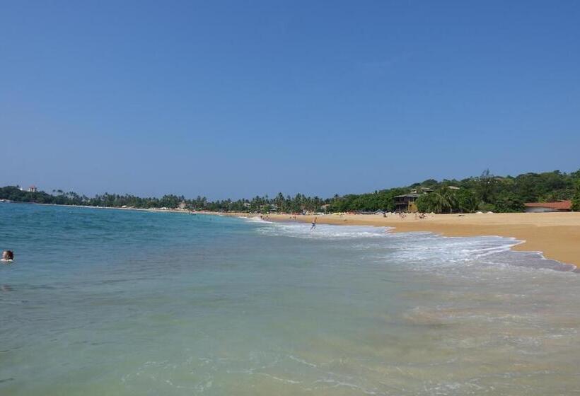 פנסיון Little Villa