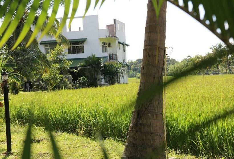 膳宿费 Manel Guest House