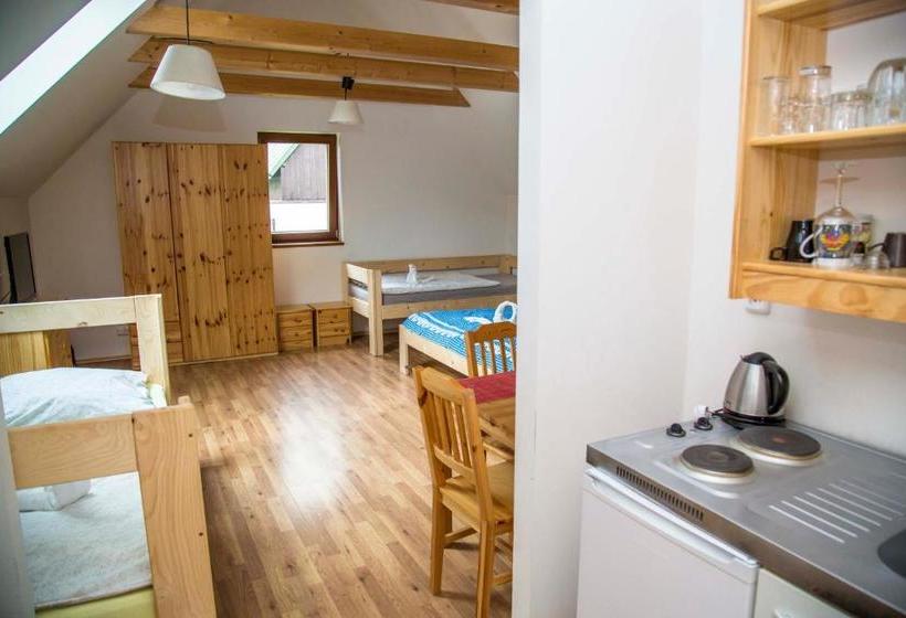 پانسیون Penzion Rejžák