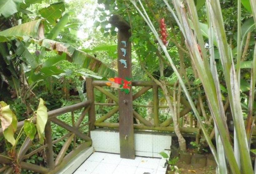 Pansiyon Pousada Alvorada Dos Borbas