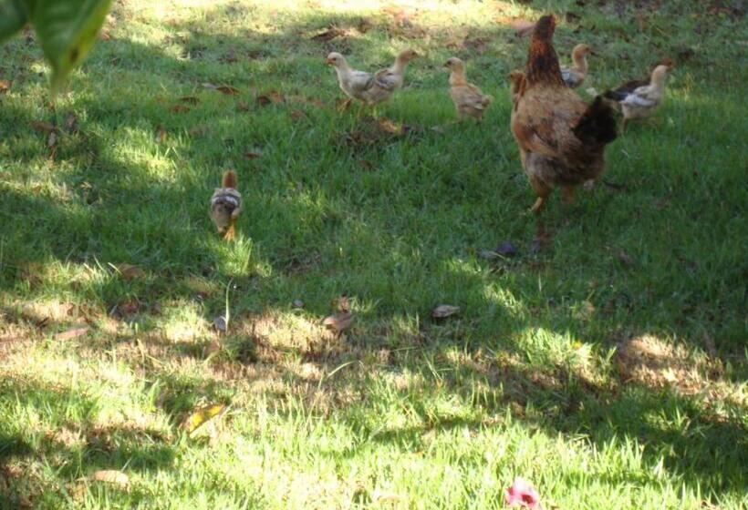 פנסיון Si­tio Vila Davero