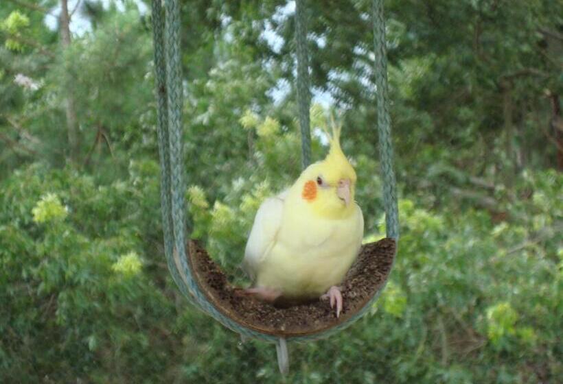 פנסיון Si­tio Vila Davero