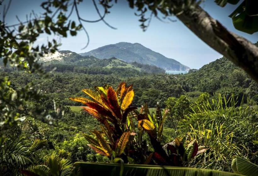 بنسيون Pousada Vale Verde Bungalows Praia Do Rosa Sc