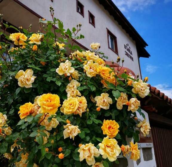 Majatalo Zigen House