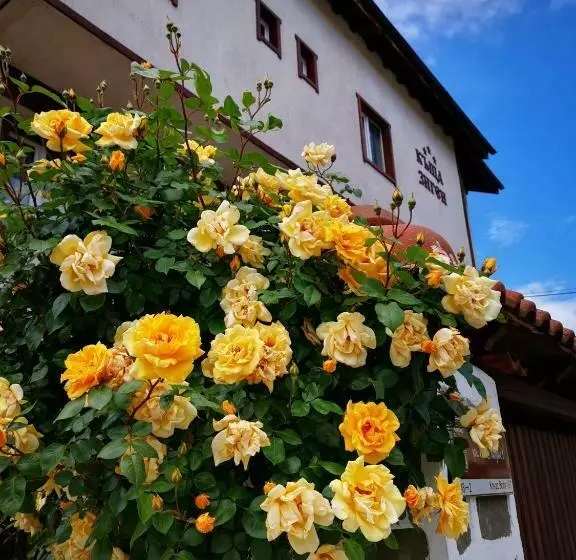 پانسیون Zigen House