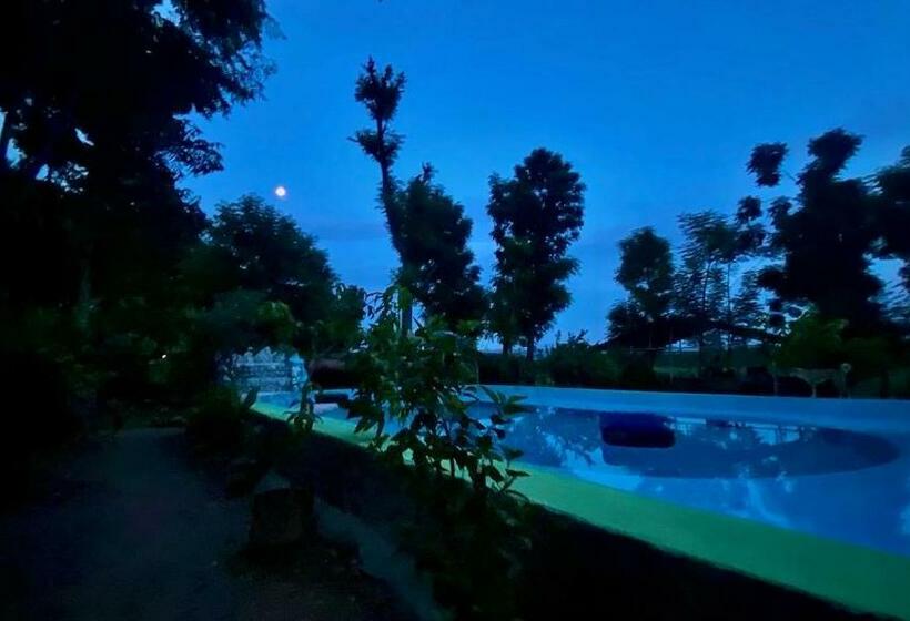 هاستل River Park Retreat