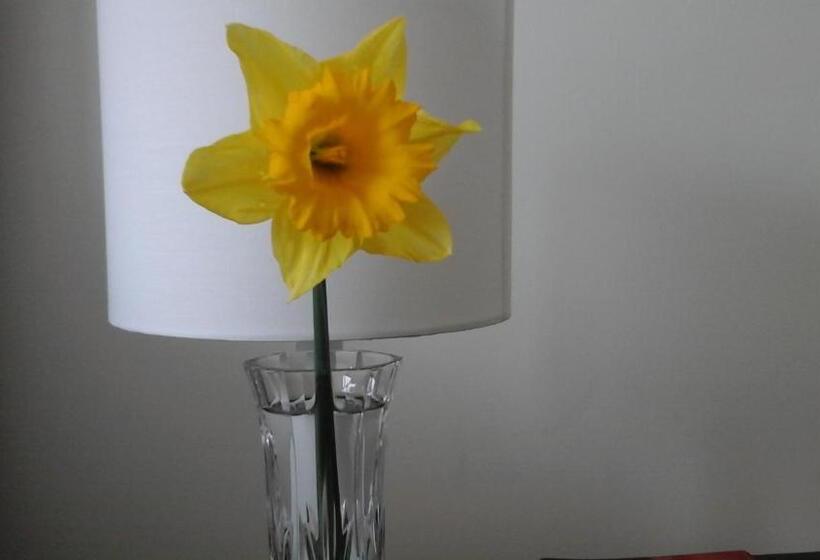 مبيت وإفطار Al And Rosies B+b