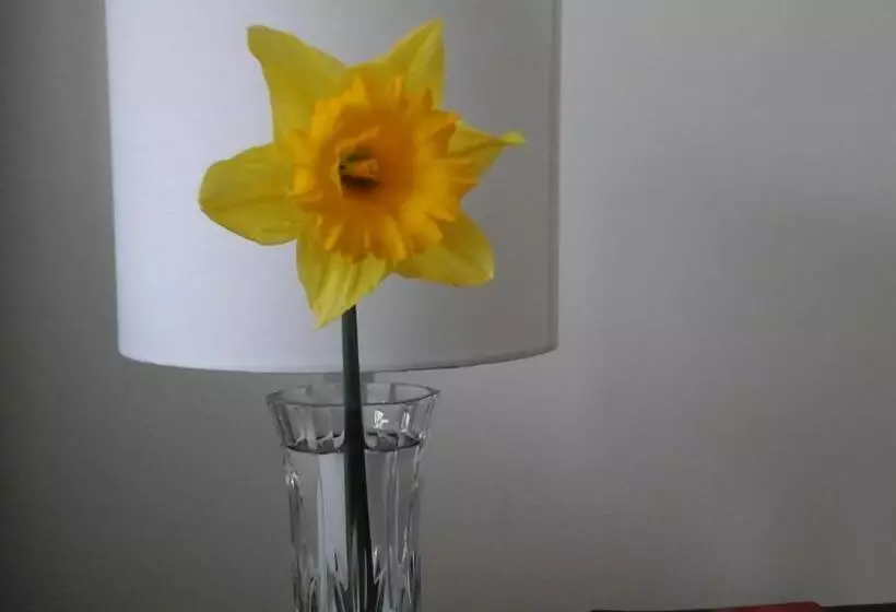 Aamiaismajoitus (B&B) Al And Rosies B+b