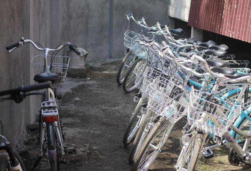 Nocleg ze śniadaniem Island Beach Bungalow