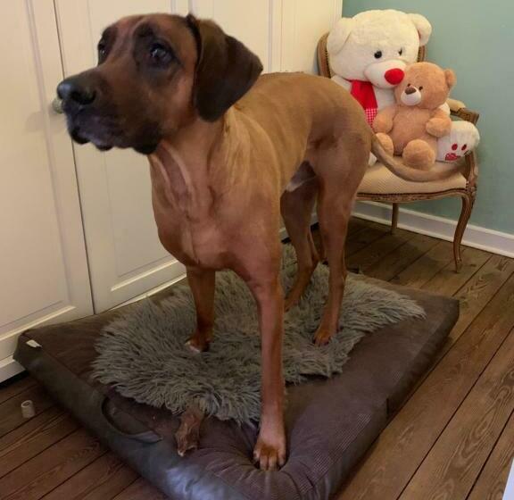 فندق Bed & Breakfast Am Dom