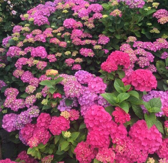 فندق Bed & Breakfast Am Dom