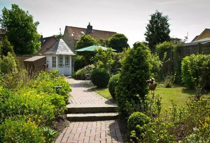 ホテル Bed & Breakfast Am Dom