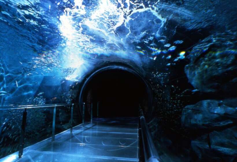 בית מלון כפרי Port Moji