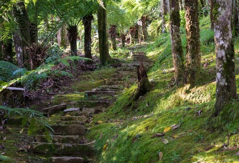 بنسيون Pousada Ricanto Amore Mio