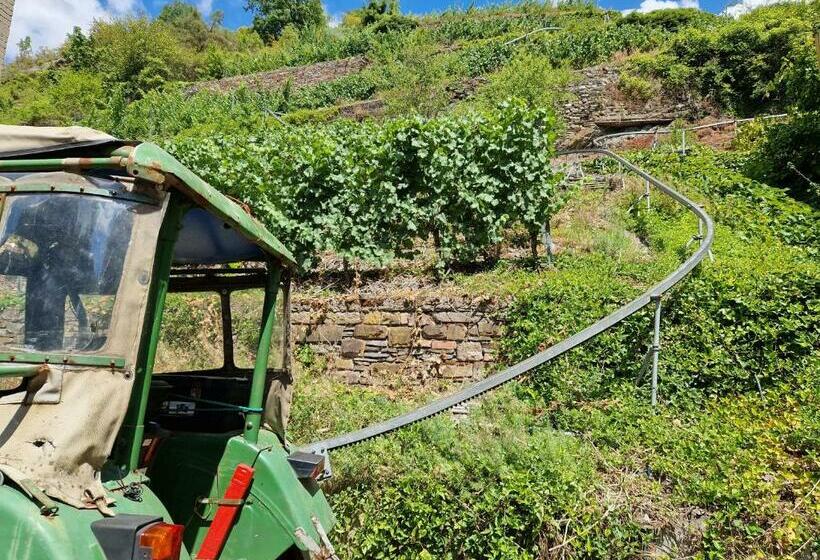 펜션 Weingut Haxel