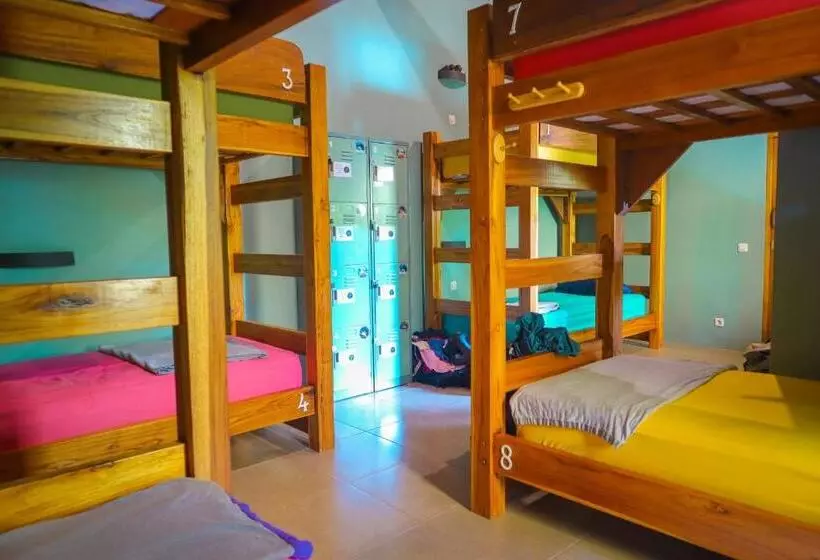 Pipes Hostel